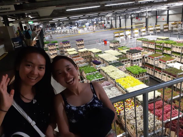 fieldtrip Aalsmeer Flora Holland