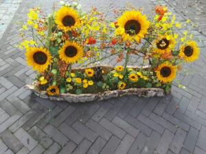 zonnebloemtuin