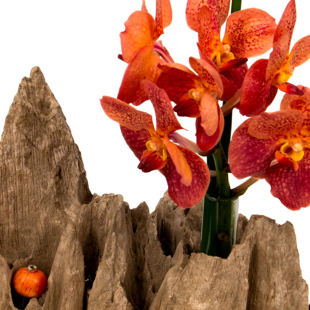 Wood Object in different forms with Vanda orchid - Image 2