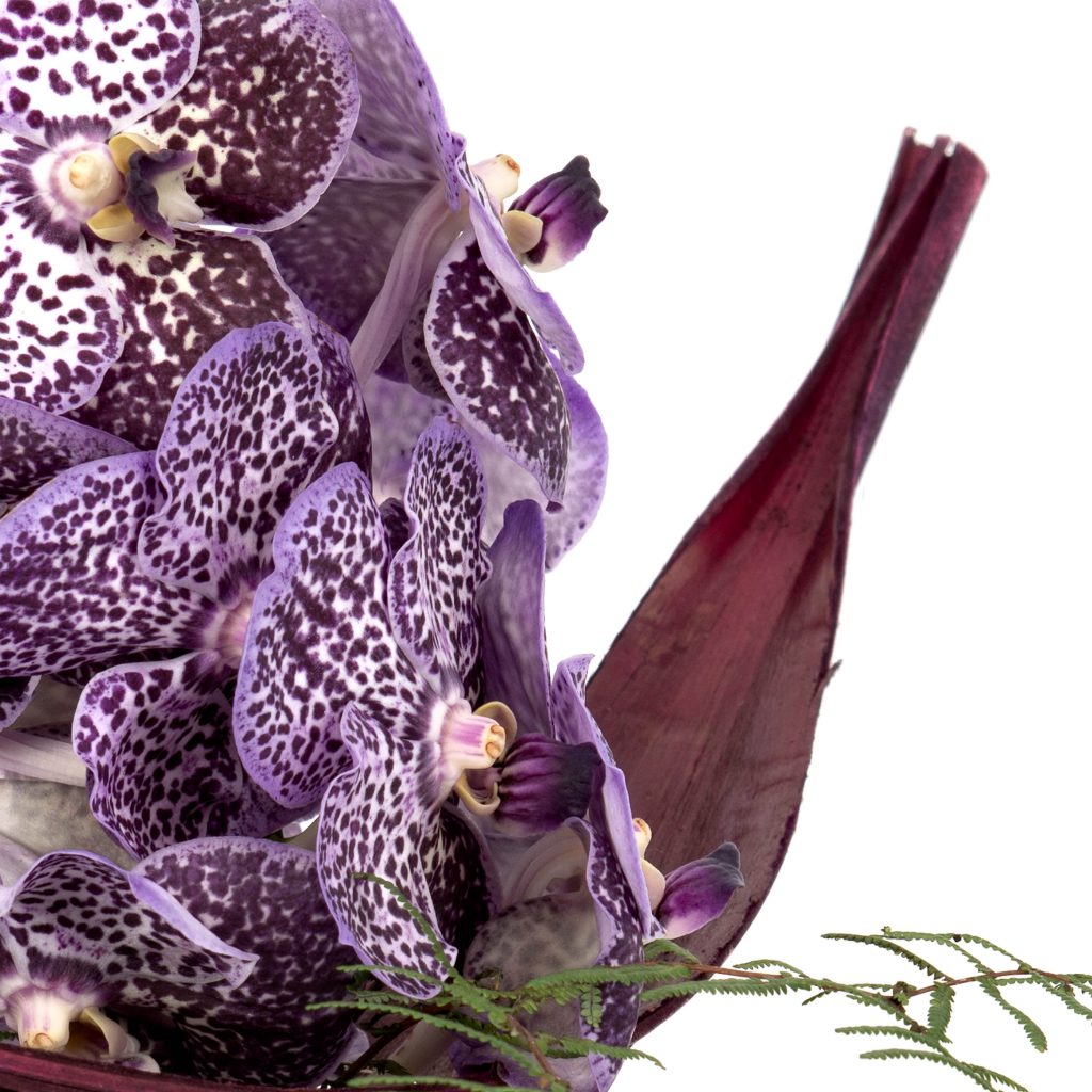 Creatie met perenhout en vanda detail