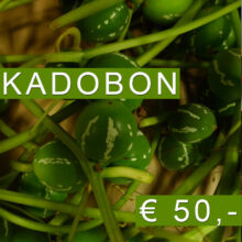 Kadobon 50 euro bij Blomatelier