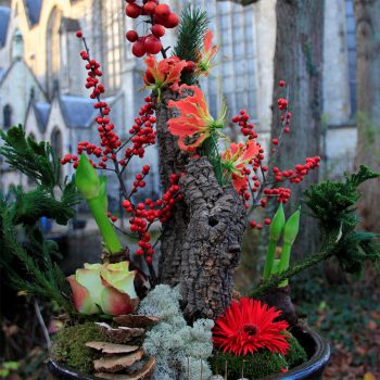 kerstbloemwerk sintjan