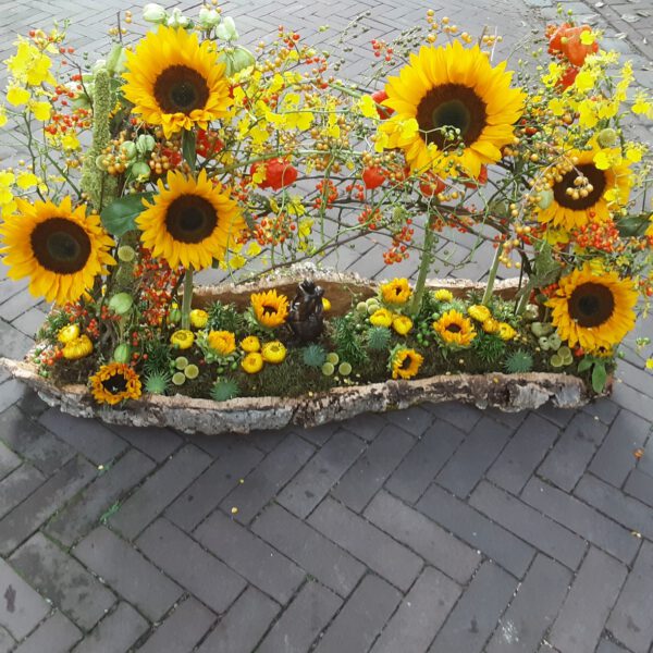 zonnebloemtuin