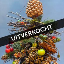 kerst geluk uitverkocht