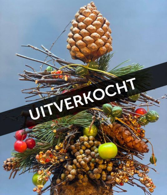 kerst geluk uitverkocht