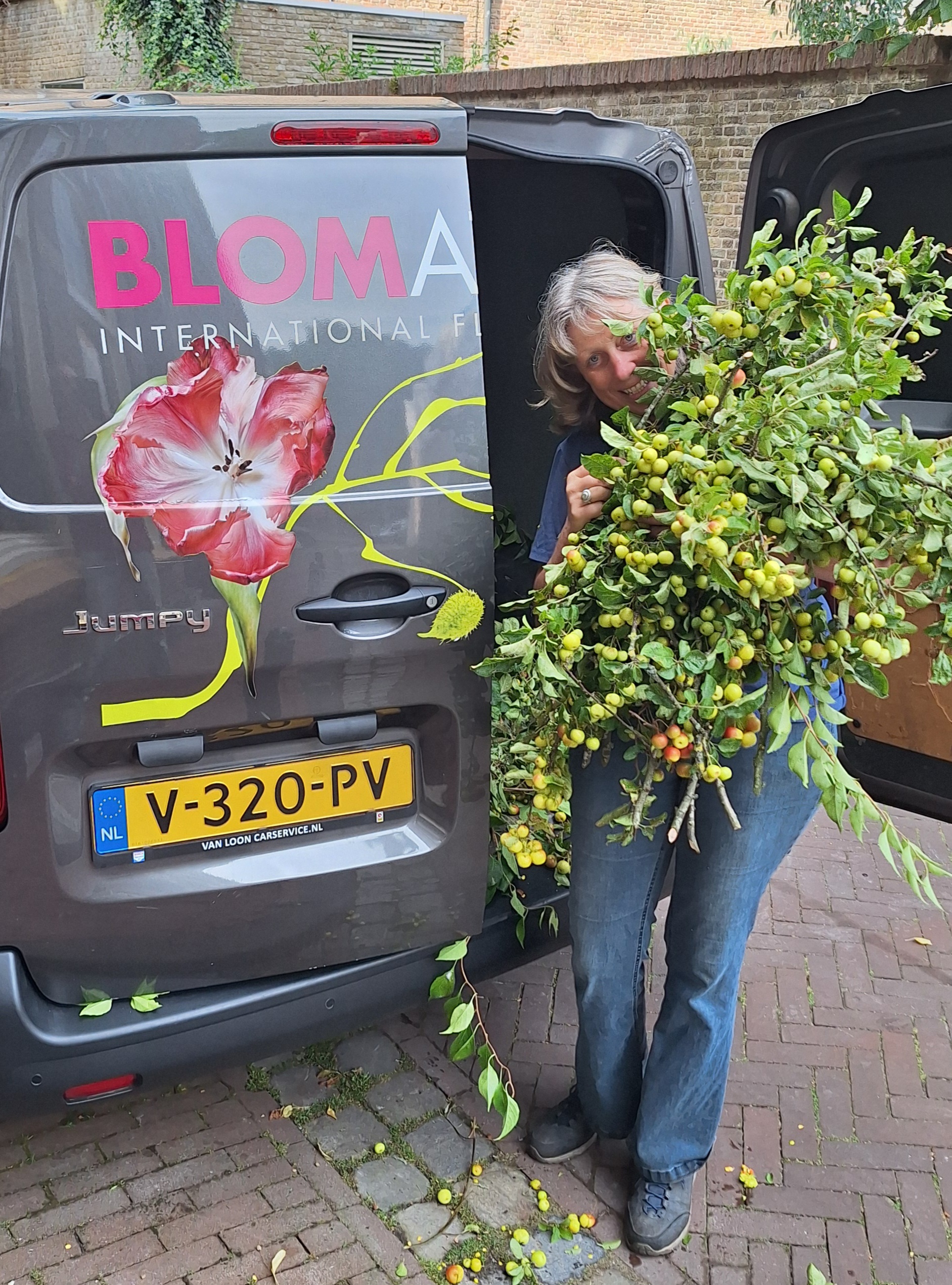 workshop inspiratie malus takken