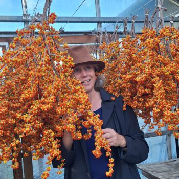 Herfstcreatie met Celastrus uit Boskoop